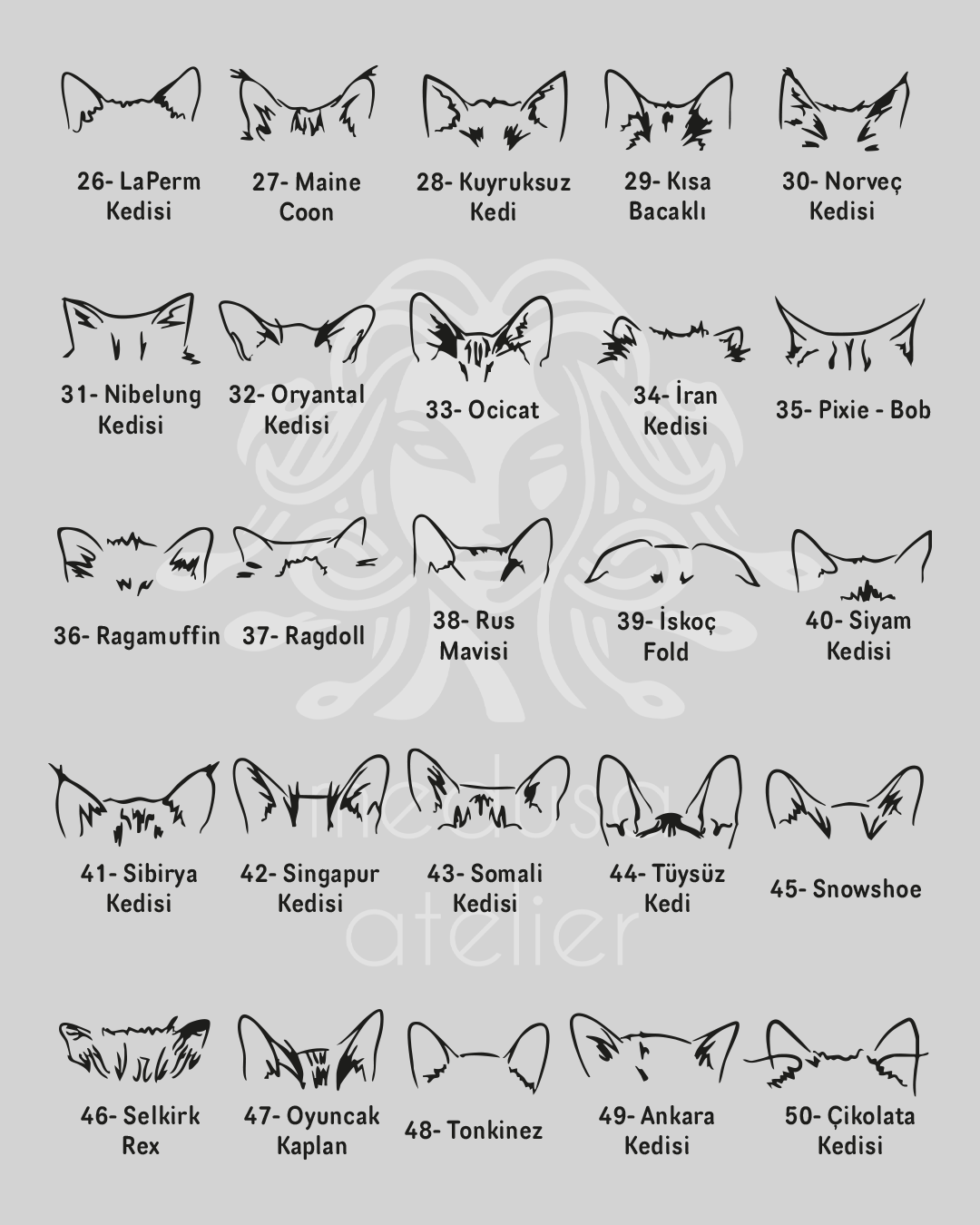 925 Ayar Gümüş Kişiye Özel Kedi Kolye