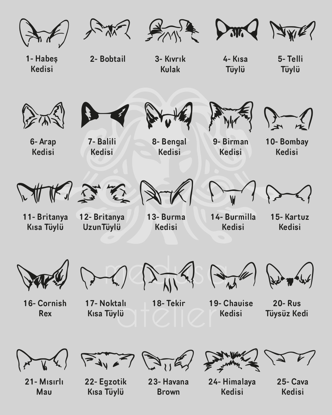 925 Ayar Gümüş Kişiye Özel Kedi Kolye